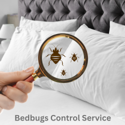 Bed bags Control